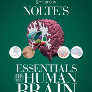 Buku Kedokteran Nolte Essentials of the Human Brain 2e 2019