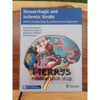 [Full Color /BW] Hemorrhagic and Ischemic Stroke 2012