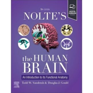 [Full Color/BW] Noltes the Human Brain An Introduction to its Funcional Anatomy 9e 2026